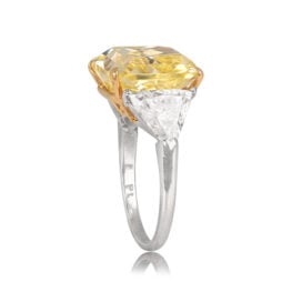 Platinum and Fancy Yellow Diamond Ring - Fremont Ring D5497